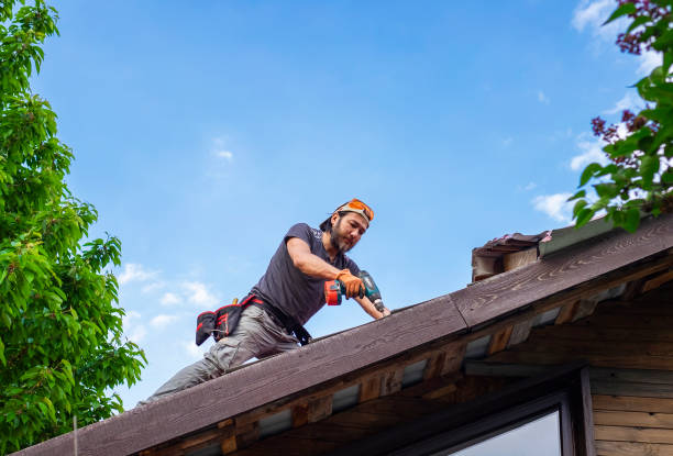 Steel Roofing in Federalsburg, MD