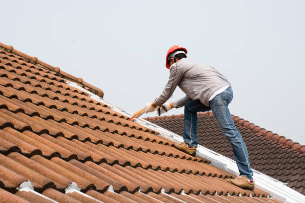 Best Wood Shake Roofing  in Federalsburg, MD
