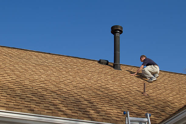 Best Green or Eco-Friendly Roofing Solutions  in Federalsburg, MD